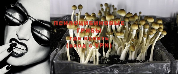 соль курить ск Волосово